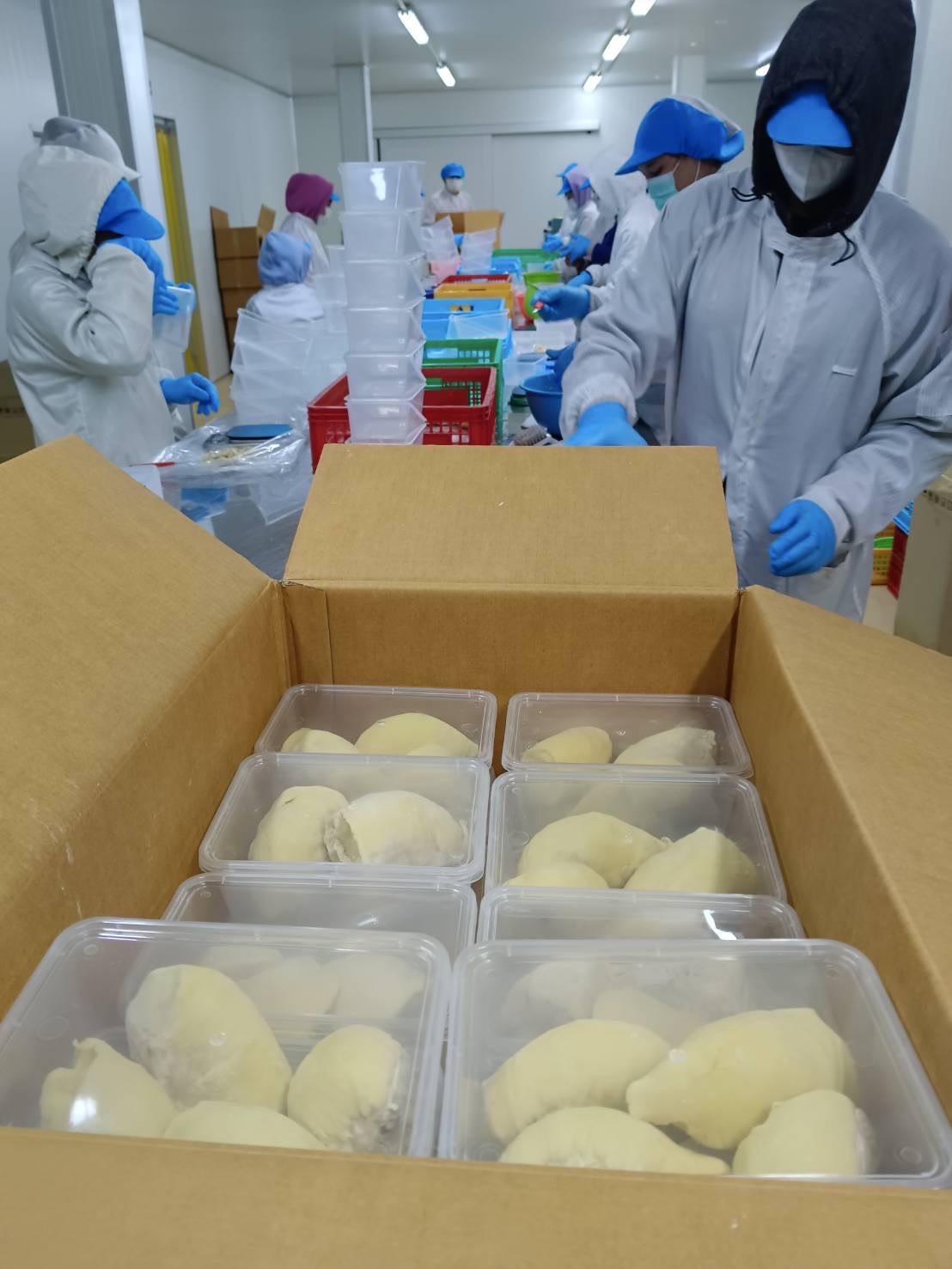 ผลไม้ส่งออก 3