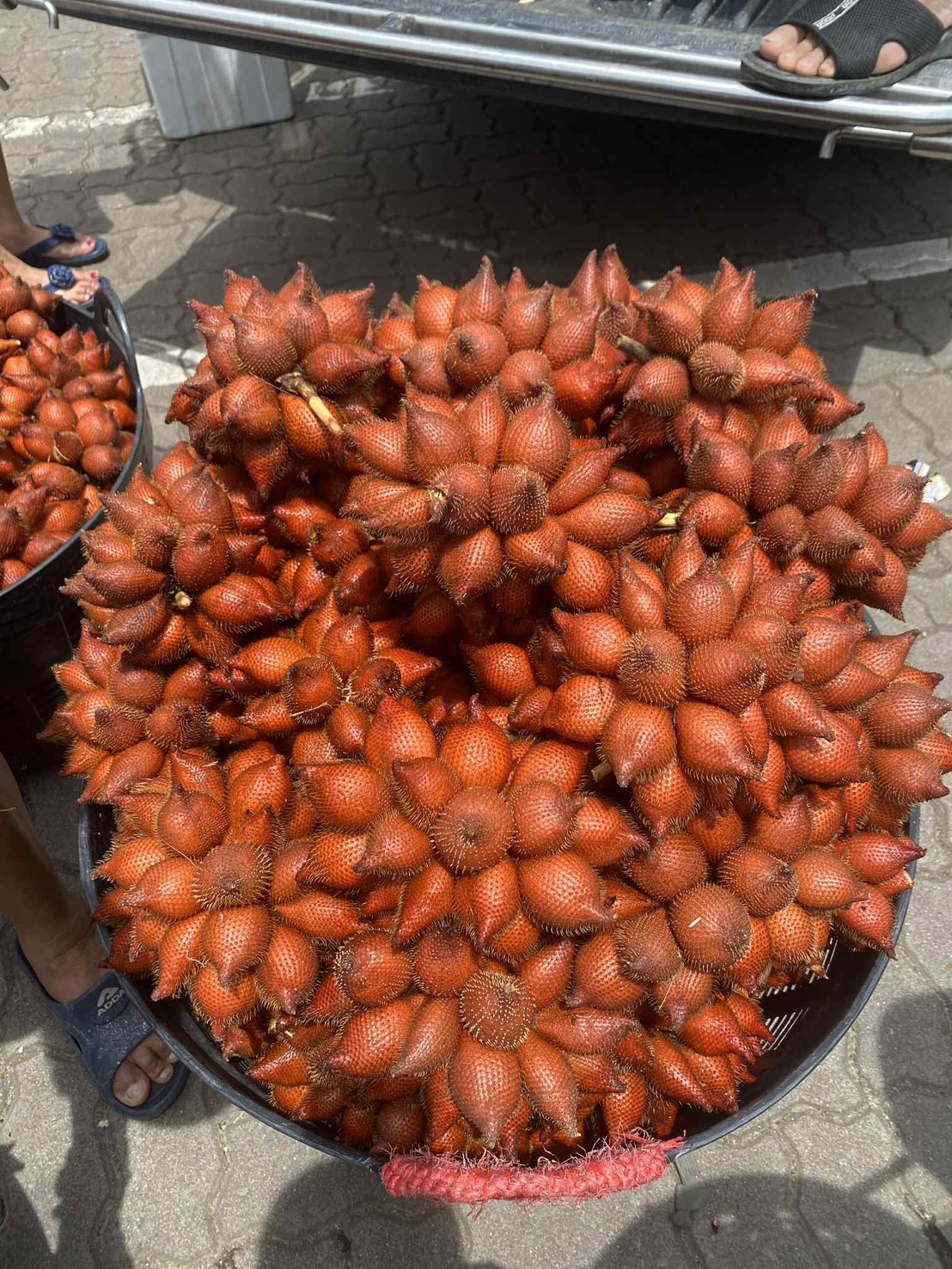 ผลไม้ส่งออก 10