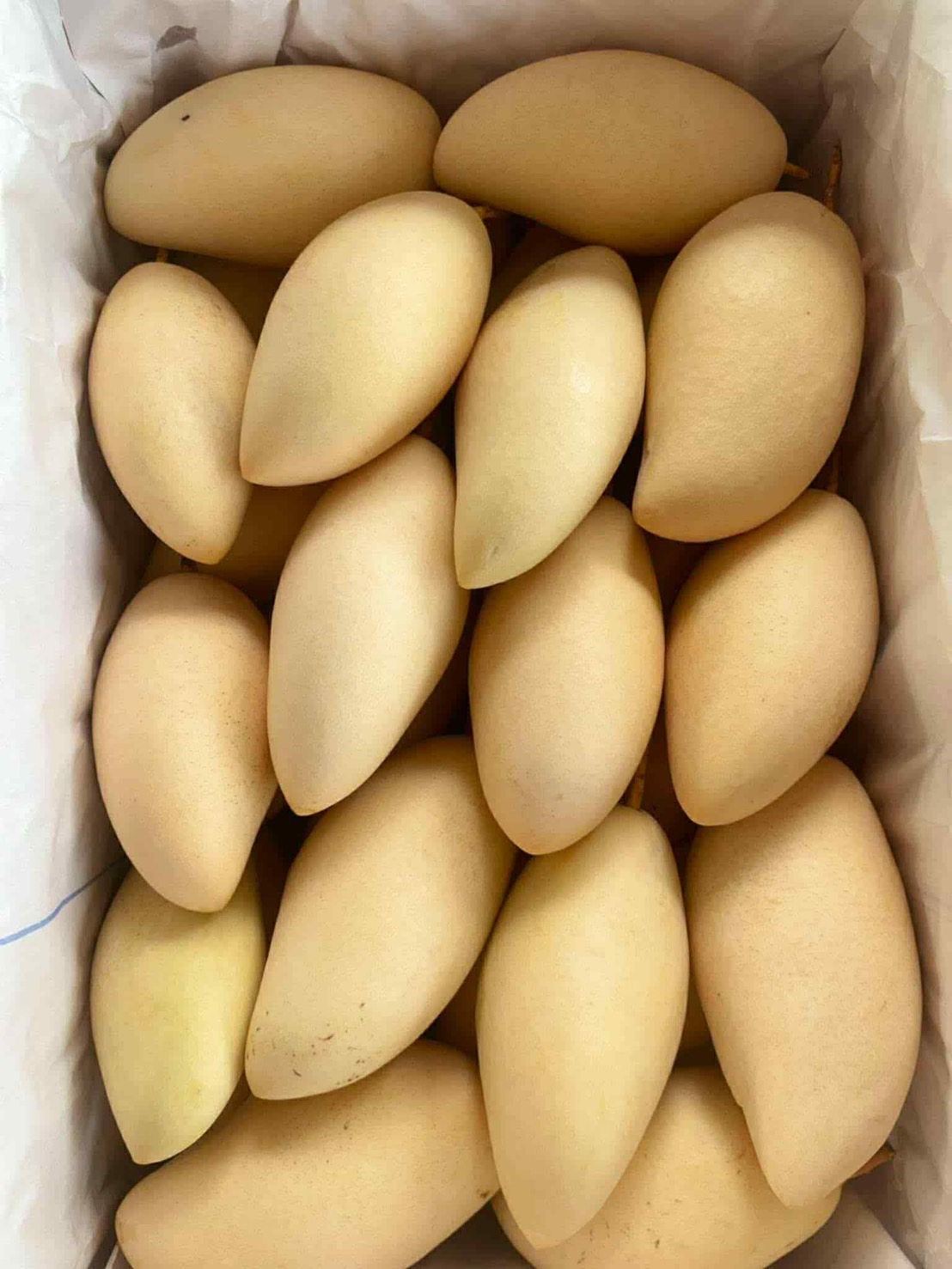 ผลไม้ส่งออก 5